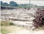 Click for full size image of Cholula (PID:29410) Cholula