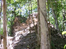 Nakbe