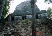 Click for full size image of Tikal (PID:67714) Tikal