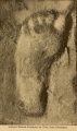 Footprints of Acahualinca Museum submitted by durhamnature