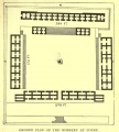 Click for full size image of Copa'n (PID:102406) Copa'n