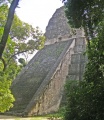 Click for full size image of Tikal (PID:38438) Tikal