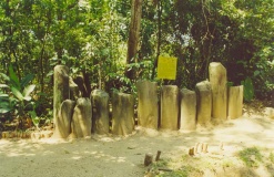 Parque Museo La Venta