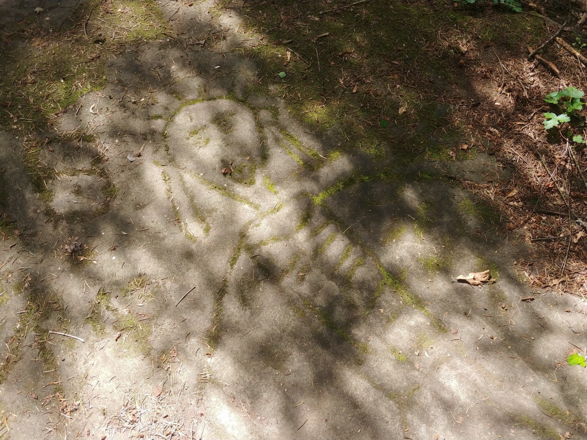 Petroglyph Provincial Park (British Columbia)