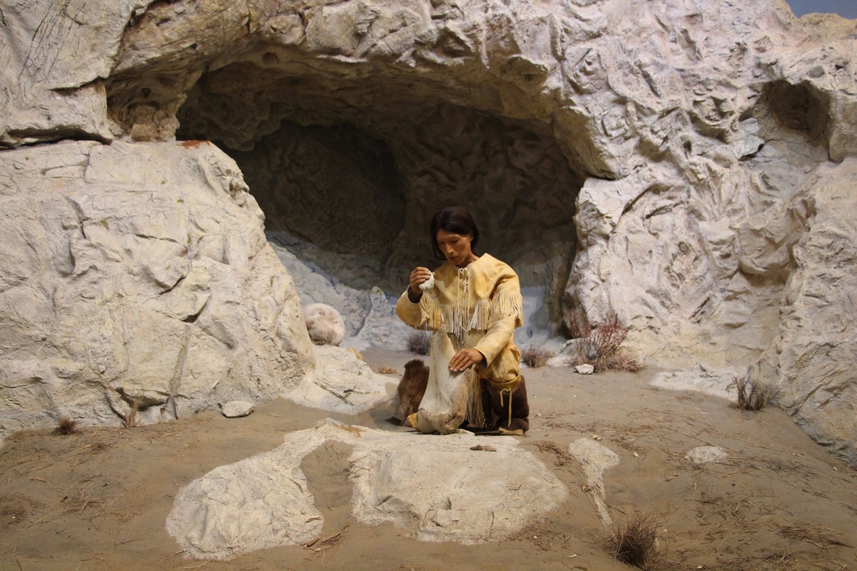 Yukon Beringia Interpretive Centre