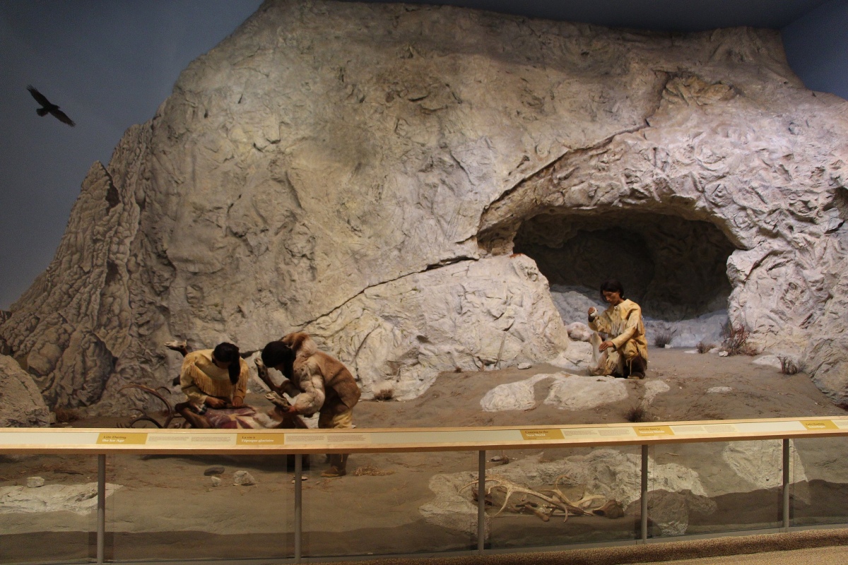 Yukon Beringia Interpretive Centre