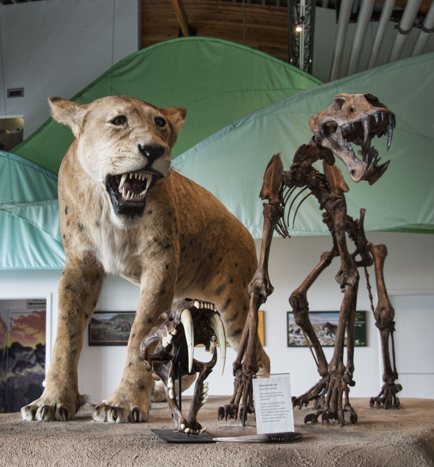 Yukon Beringia Interpretive Centre