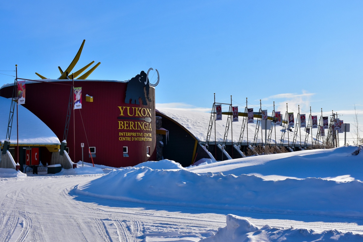 Click for full size image of Yukon Beringia Interpretive Centre (PID:234345) Yukon Beringia Interpretive Centre