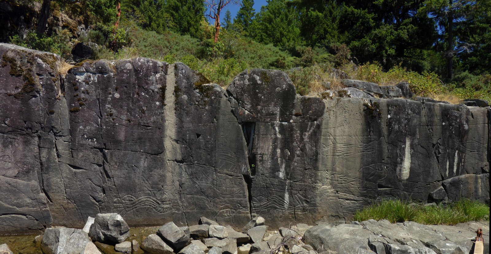 Click for the gallery page to add comments and vote (PID:136605) Sproat Lake Petroglyphs