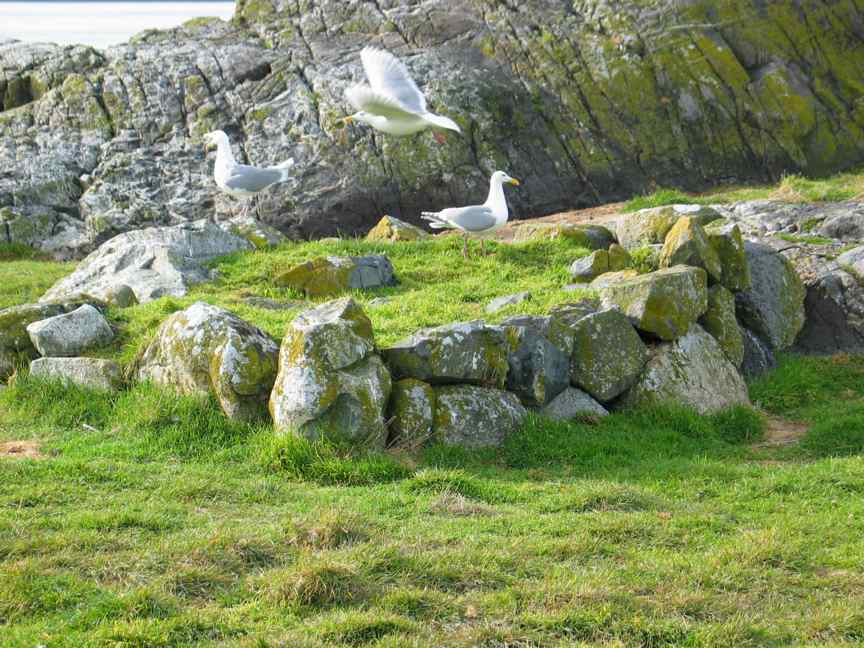 Race Rocks Cairn 6.  Photo courtesy Garry Fletcher.