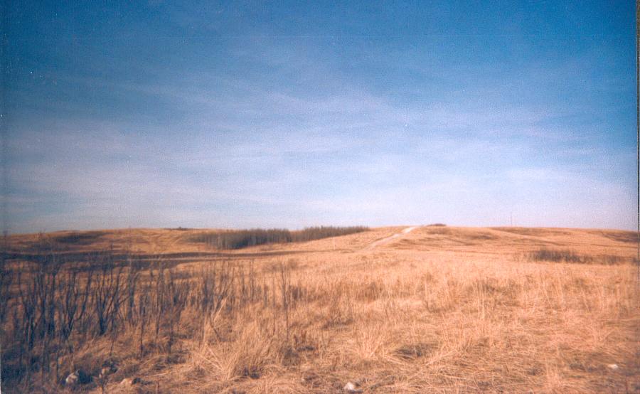 Site in  Canada

Picture taken of Ootsspi'tomawa Look Out Hill in 2001 showing the Prairie Grasslands that is commonly found in Nose Hill Park.