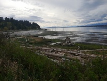 Comox Estuary