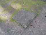 Petroglyph Provincial Park (British Columbia)