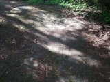 Petroglyph Provincial Park (British Columbia)