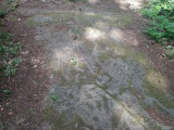 Petroglyph Provincial Park (British Columbia)