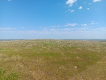 St.Victor Petroglyphs