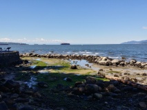 Coast Salish Stone Fish Weir