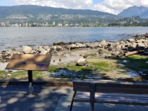 Coast Salish Stone Fish Weir