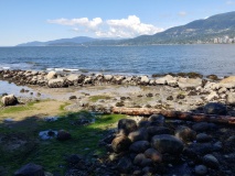 Coast Salish Stone Fish Weir