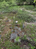 Sea Horse Gully Remains
