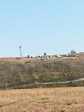 Elbow Trail Stone Picnic Area