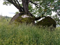Sumas Lightning Rock