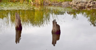 Mnjikaning Fish Weirs