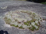 Bannock Point Petroforms