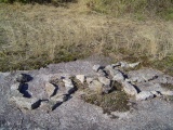 Bannock Point Petroforms