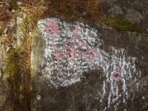 Bedford Petroglyphs