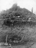 Marpole Midden