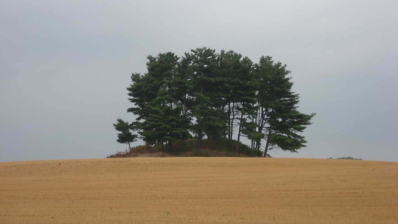 Click for the gallery page to add comments and vote (PID:254677) Luthor List Mound