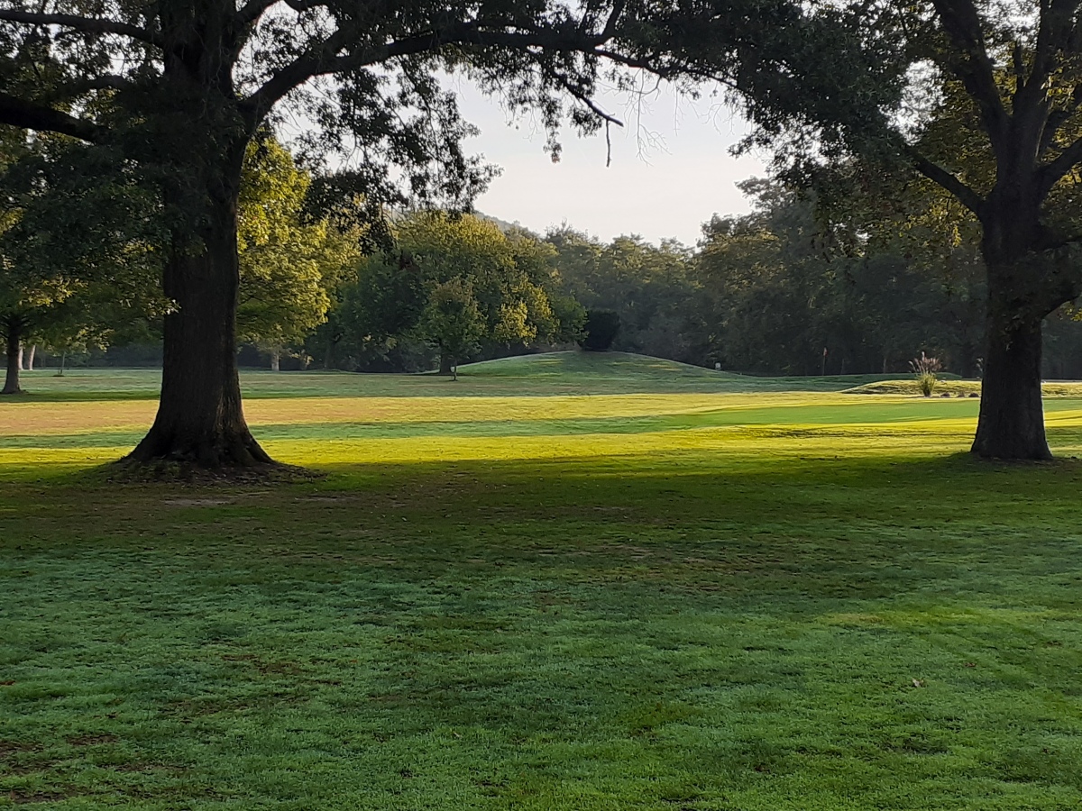 Click for the gallery page to add comments and vote (PID:254534) Short Woods Park Mound