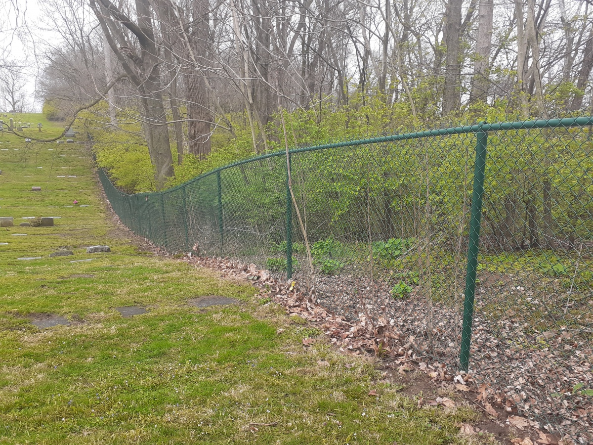 Click for the gallery page to add comments and vote (PID:254890) Calvary Cemetery Hilltop Enclosure