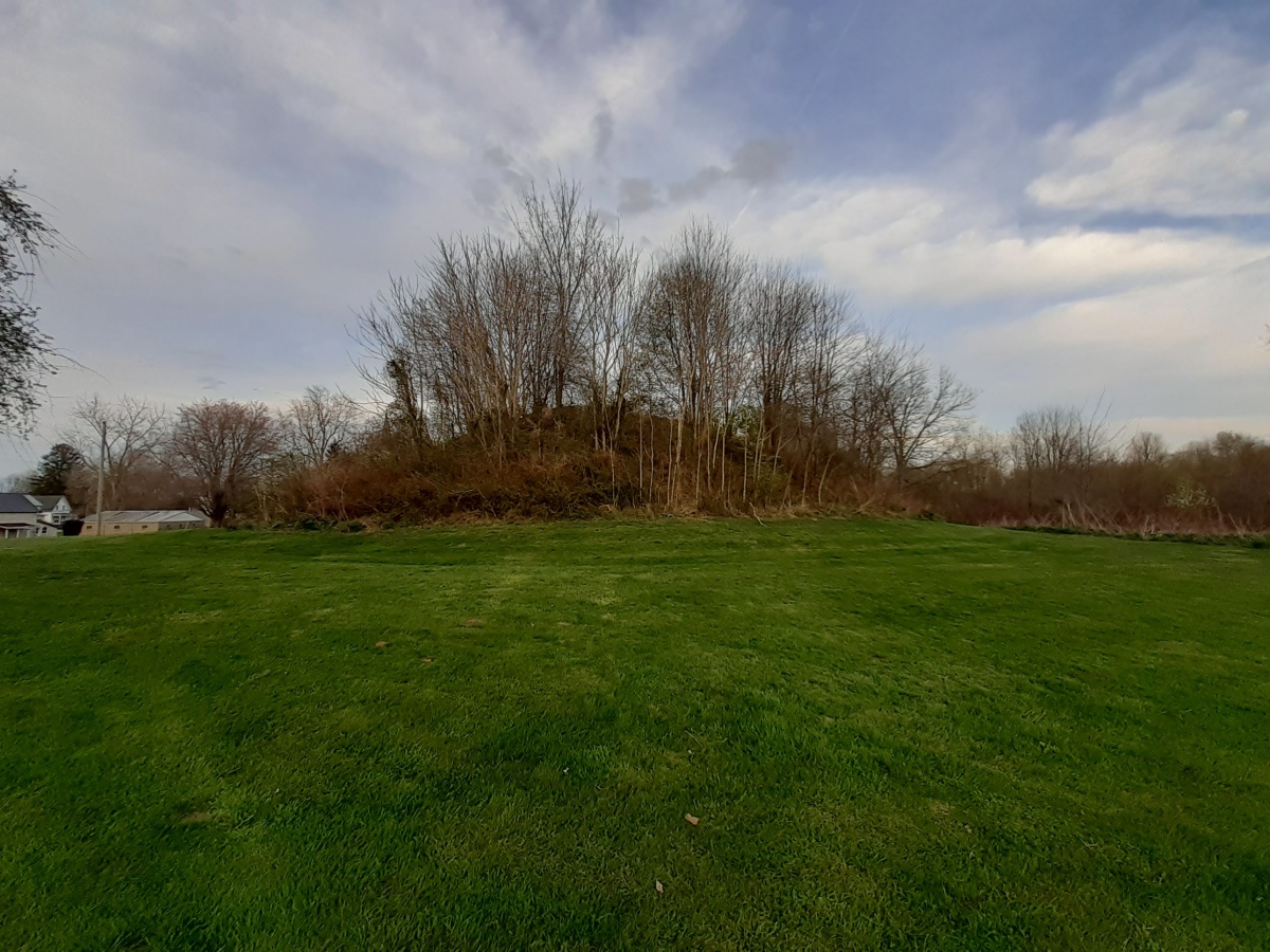 Click for the gallery page to add comments and vote (PID:253915) Dixon Mound