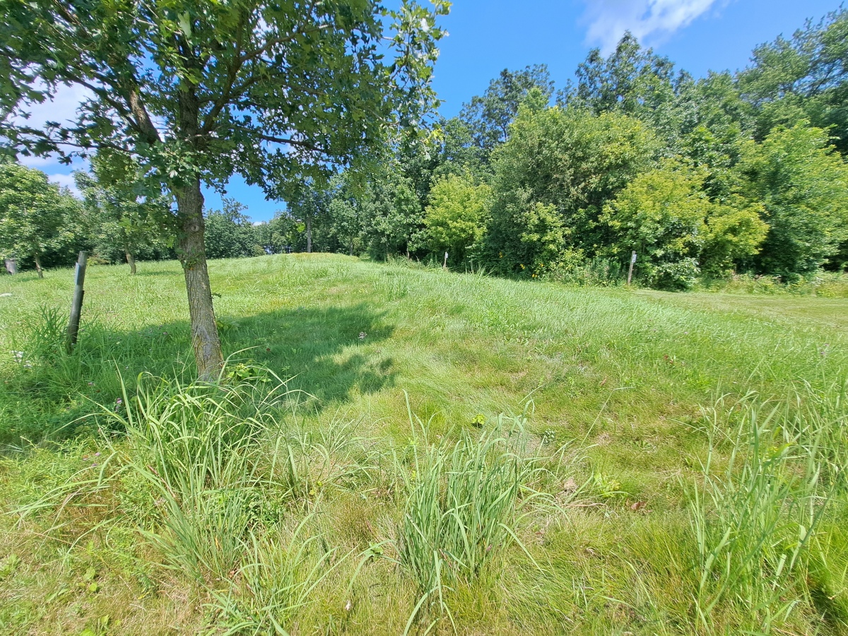 Click for the gallery page to add comments and vote (PID:275487) Nitschke Mounds State Park