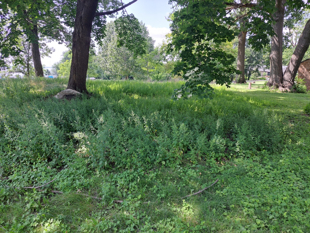 Click for the gallery page to add comments and vote (PID:275250) Burrows Park Mound