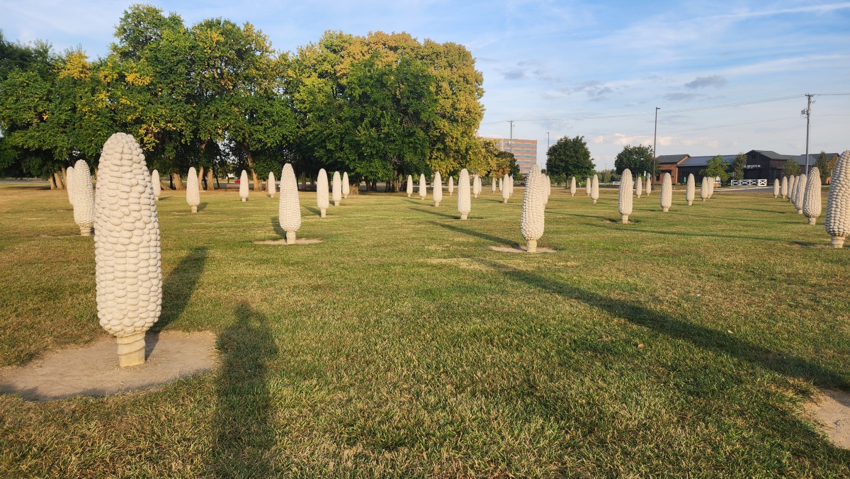 Click for the gallery page to add comments and vote (PID:311837) Field Of Corn