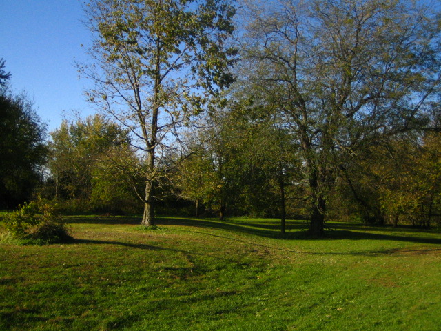 Strawtown enclosure showing the remains of the village's circular earthwork and ditch.
Photo by bat400, ca. 2006.