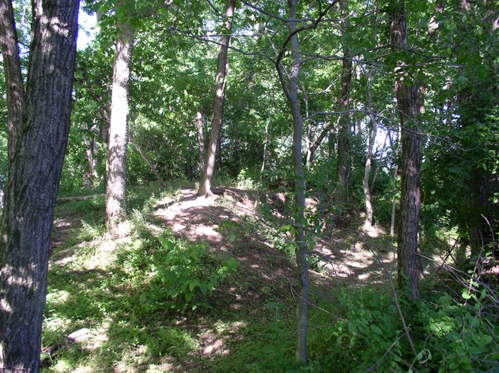 Rowlandton Mound Site