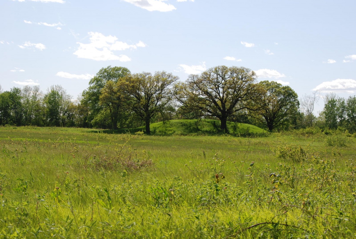 Commentary courtesy Dr Greg Little, author of the Illustrated Encyclopedia of Native American Indian Mounds & Earthworks (2016).

The Ogden-Fettie Mound Group at Dickson Mounds near Lewistown, Illinois. The site had 10 burial mounds and a platform mound. It is dated to AD 800. [Wiki: MattHucke]
