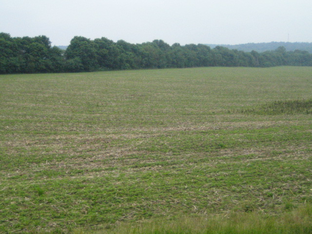 Bundy-Voyles Site