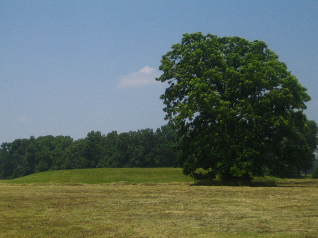 Angel Mounds - Mound F