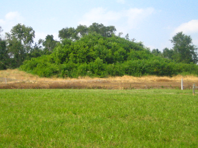 Mound G - Angel Mounds, Vanderburgh County, Indiana

Conical Earthwork Mound from the  Woodland period.

This mound is part of the Angel property but lies outside the town site and was created by people of the Woodland period, well before the Angel Mounds town was built.  Its directly on the city street opposite the entrance to the Angel site.
