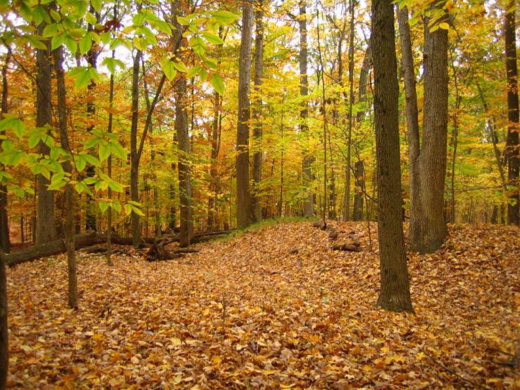 Click for the gallery page to add comments and vote (PID:35995) Highbanks Park Works