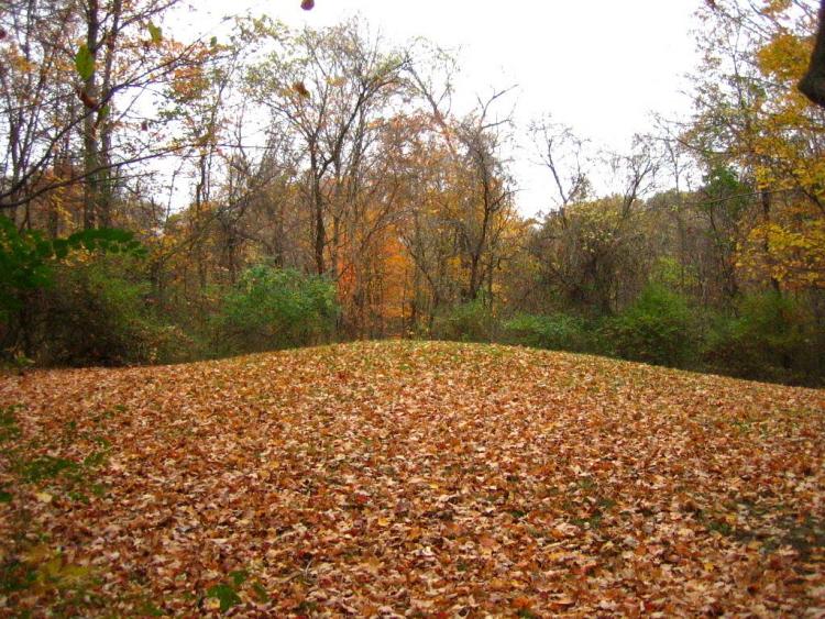 Click for the gallery page to add comments and vote (PID:35998) Highbanks Mound II