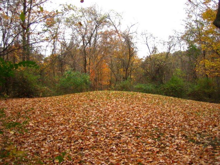 Highbanks Mound II