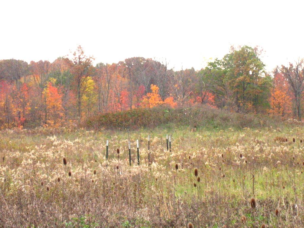 Highbanks Mound I