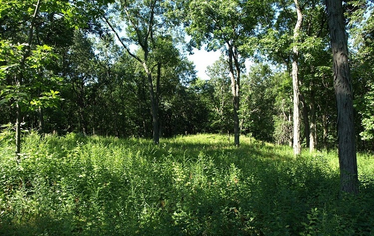 Click for the gallery page to add comments and vote (PID:105126) Lake Koshkonong Mounds