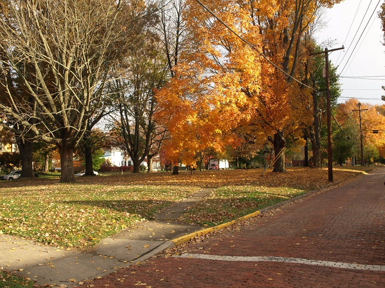 Click for full size image of Marietta Earthworks (PID:102004) Marietta Earthworks
